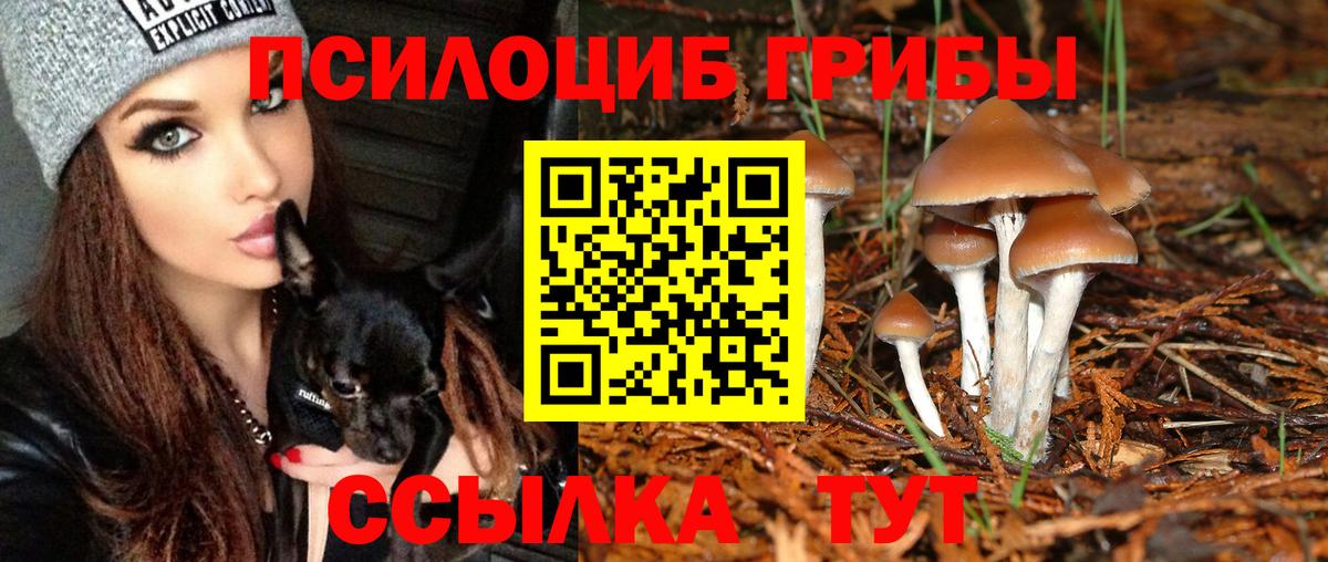 Омск  Псилоцибиновые грибы MAGIC MUSHROOMS  Вход с VPN 